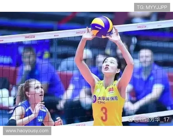 武汉排球队的转换打法深度分析与战术创新探讨