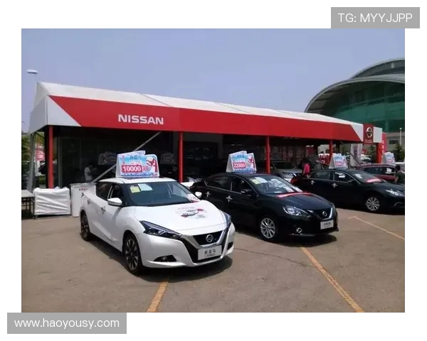 西安乒乓球队的拼搏历程与荣耀时刻全景回顾