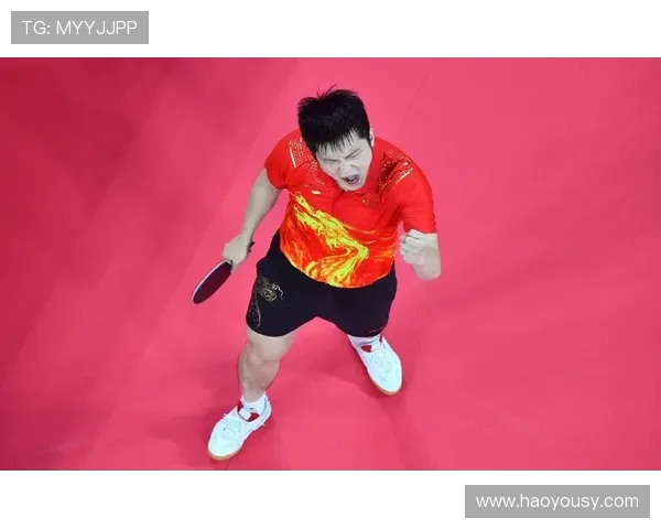 樊振东与马龙2017年巅峰对决回顾乒乓球历史上的经典时刻